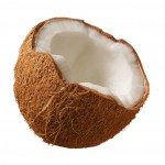 Can dogs eat coconut