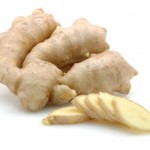 Can dogs eat ginger